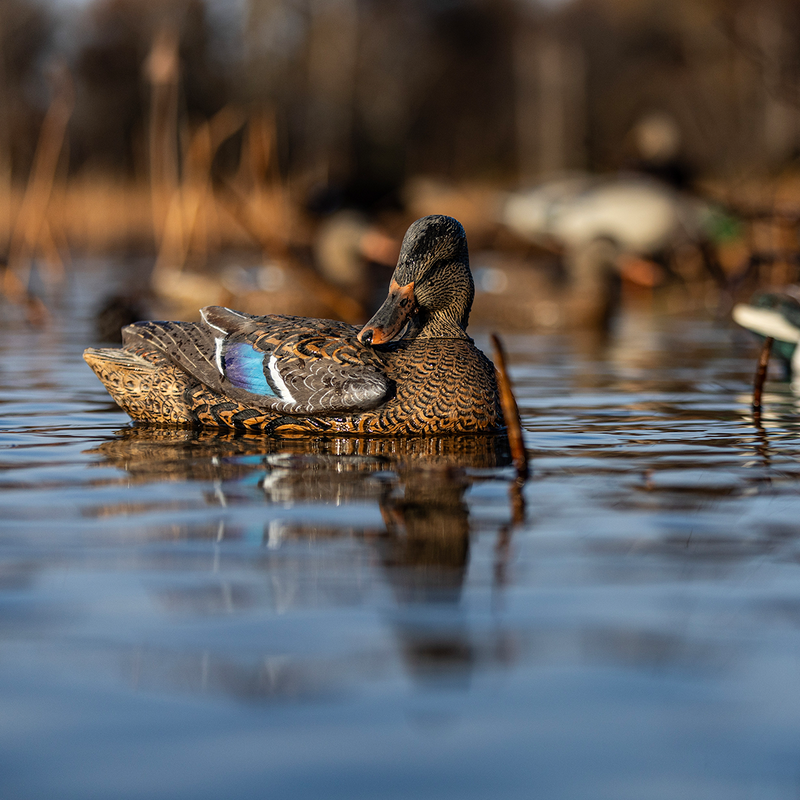 Avian-X - Topflight Mallards Sleeper Preener Pack 6 Floating Decoys