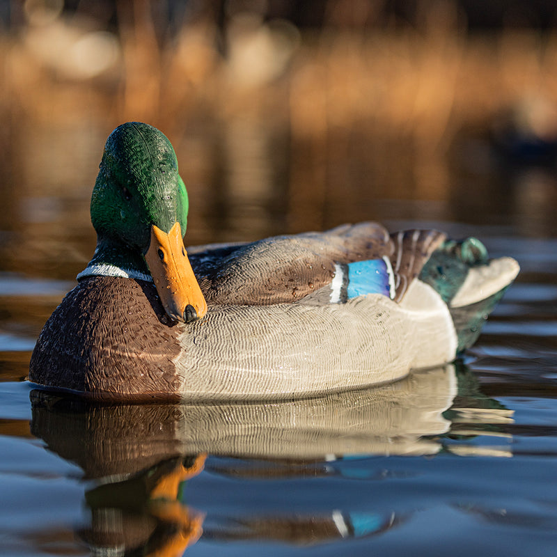 Avian-X - Topflight Mallards Sleeper Preener Pack 6 Floating Decoys