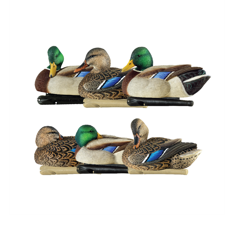 Avian-X - Topflight Mallards Sleeper Preener Pack 6 Floating Decoys