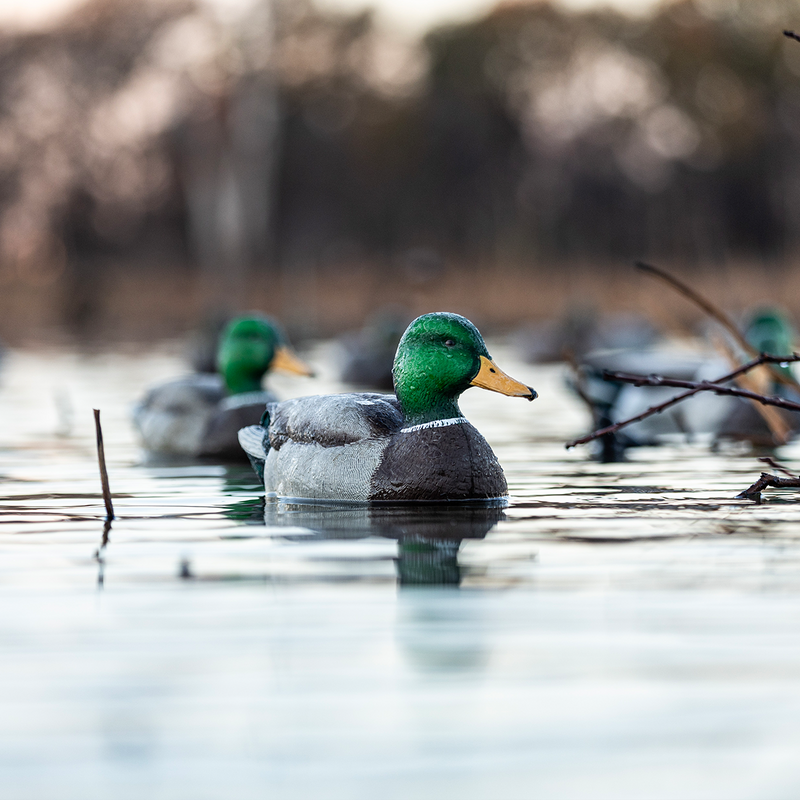 Avian-X - Topflight Mallards Open Water Pack - 6 Floating Duck Decoys