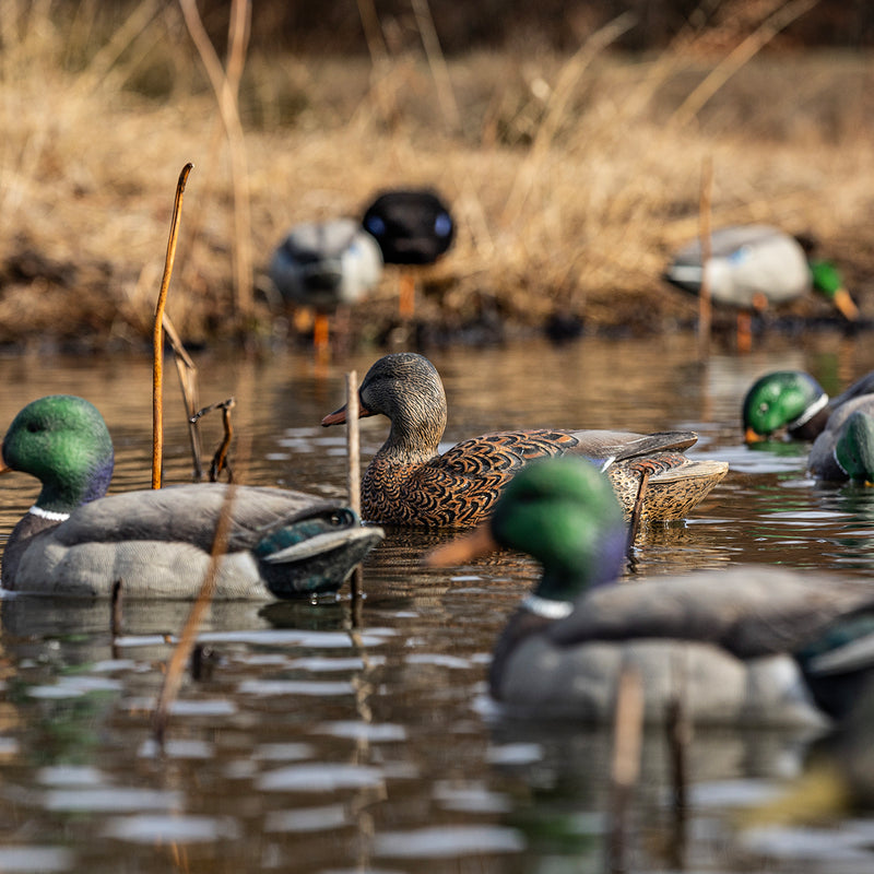 Avian-X - Topflight Mallards Open Water Pack - 6 Floating Duck Decoys