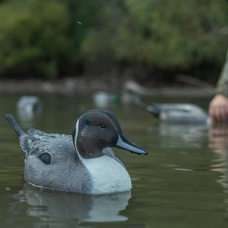 Avian-X - Topflight Pintails 6 Floating Decoys