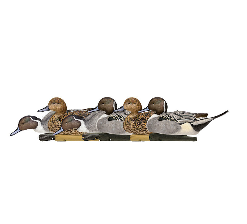Avian-X - Topflight Pintails 6 Floating Decoys