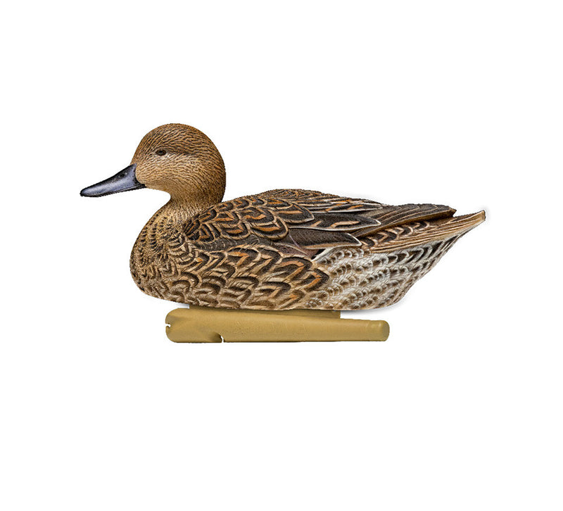 Avian-X - Topflight Pintails 6 Floating Decoys