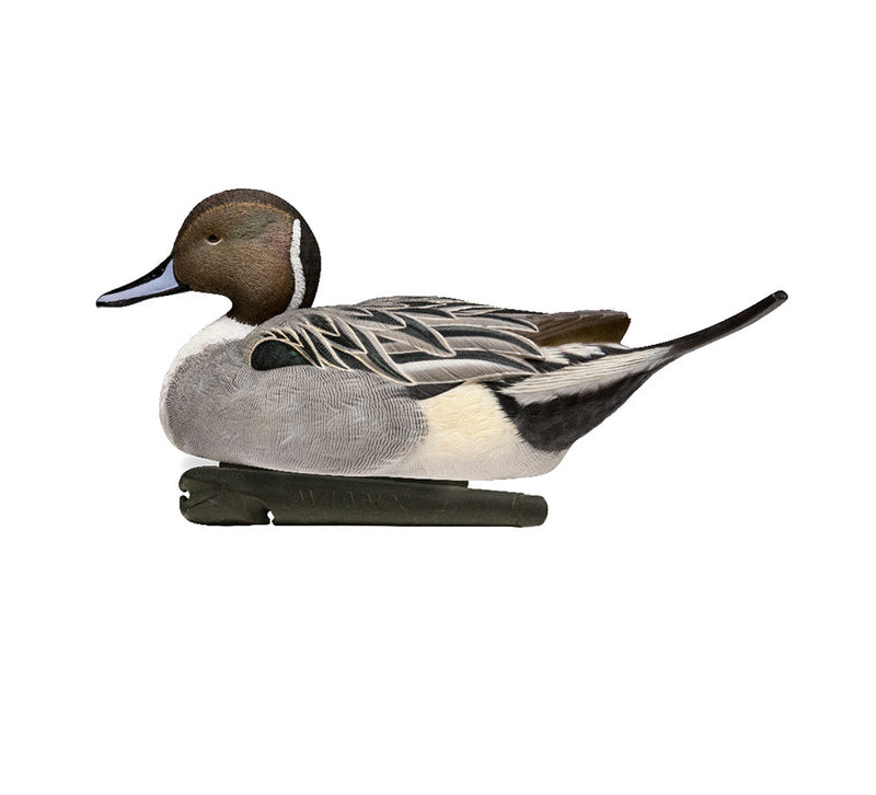 Avian-X - Topflight Pintails 6 Floating Decoys