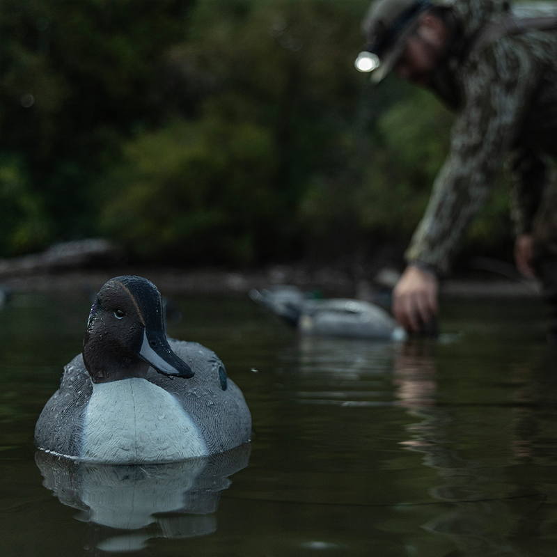 Avian-X - Topflight Pintails 6 Floating Decoys