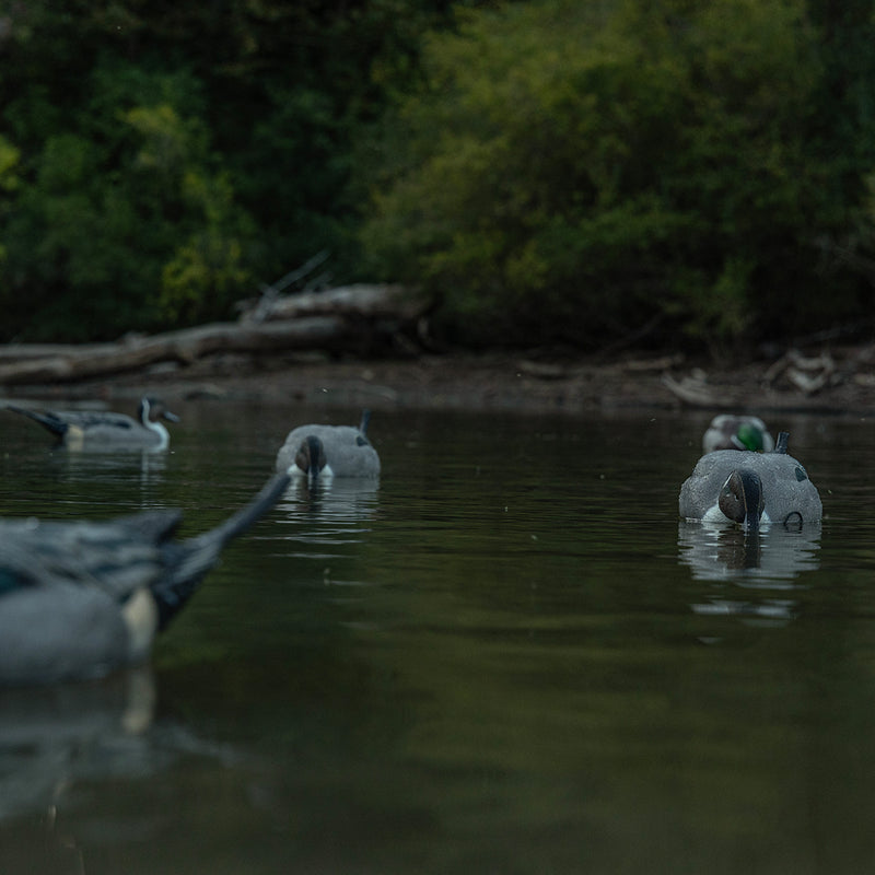 Avian-X - Topflight Pintails 6 Floating Decoys