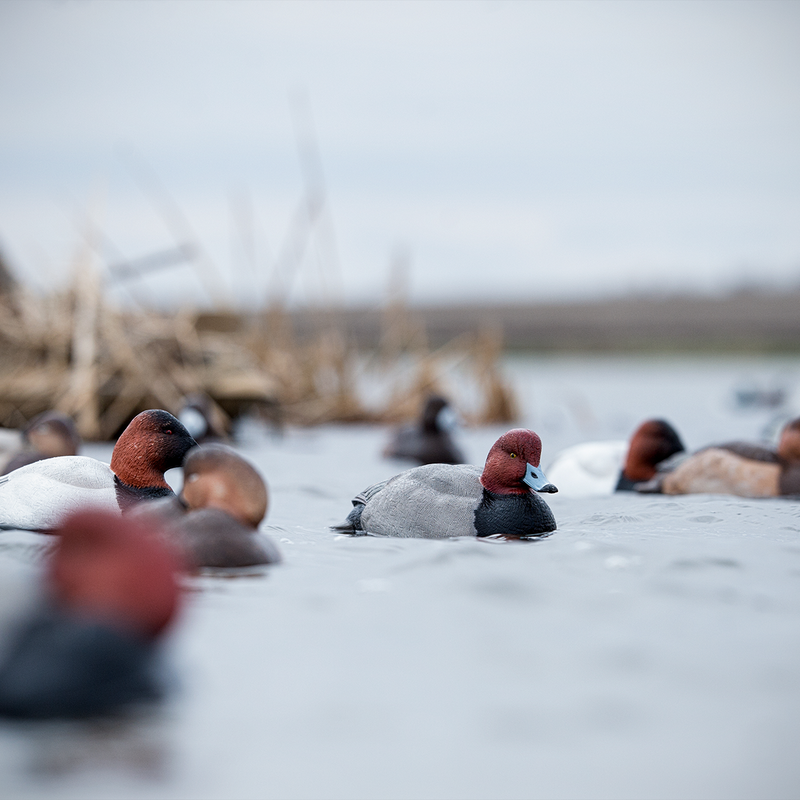 Avian-X - Topflight Redheads 6 Floating Decoys