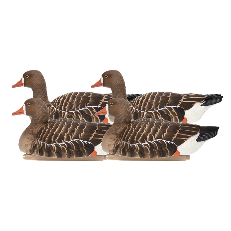 Avian-X - Topflight Specklebelly 4 Floating Decoys