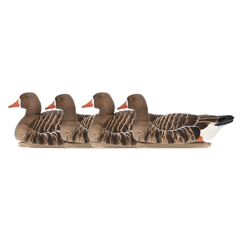 Avian-X - Topflight Specklebelly 4 Floating Decoys