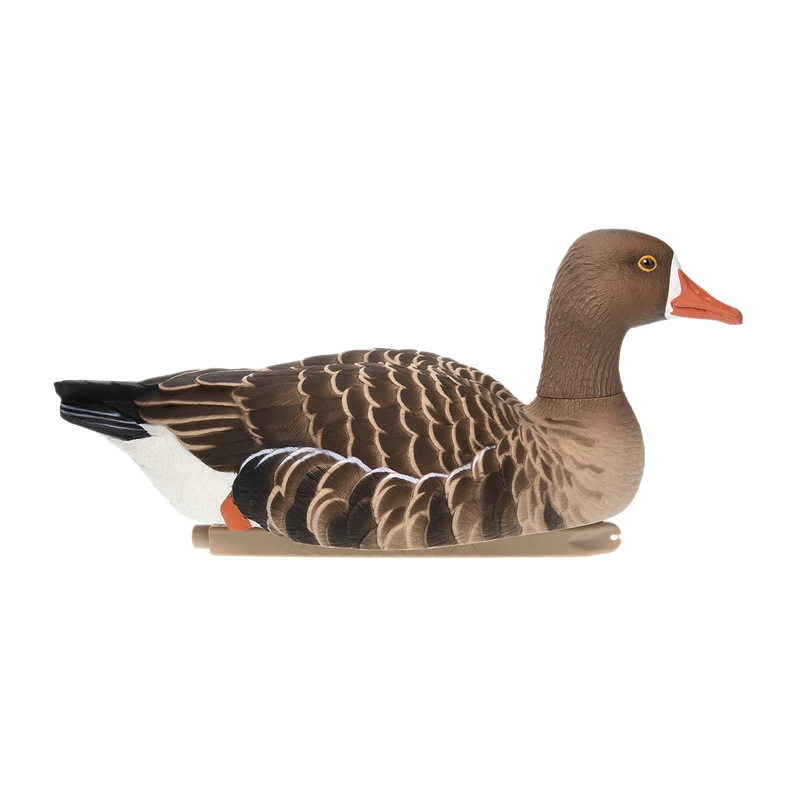 Avian-X - Topflight Specklebelly 4 Floating Decoys