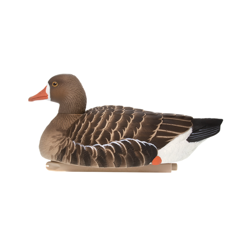 Avian-X - Topflight Specklebelly 4 Floating Decoys