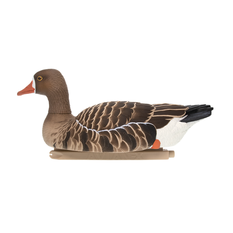 Avian-X - Topflight Specklebelly 4 Floating Decoys