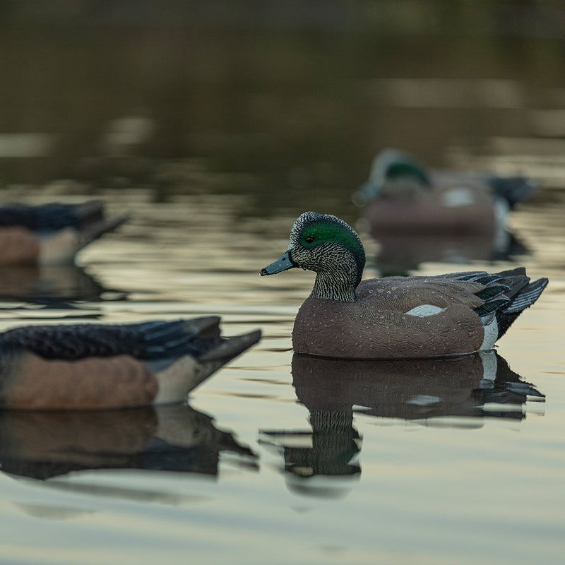 Avian-X - Topflight Wigeon 6 Floating Decoys