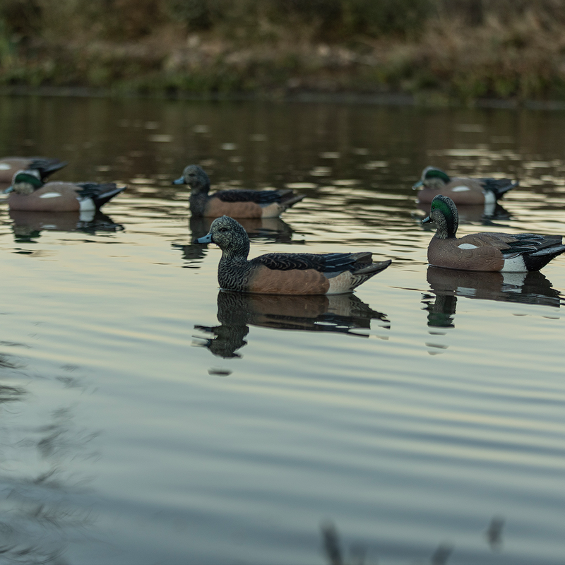 Avian-X - Topflight Wigeon 6 Floating Decoys