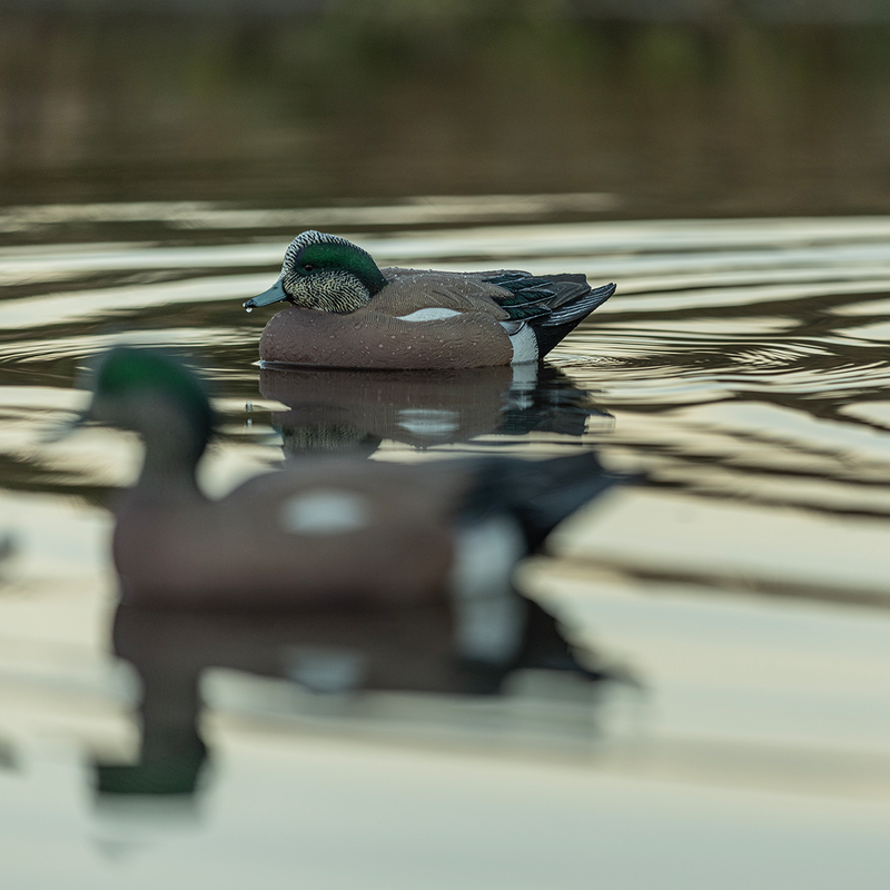 Avian-X - Topflight Wigeon 6 Floating Decoys