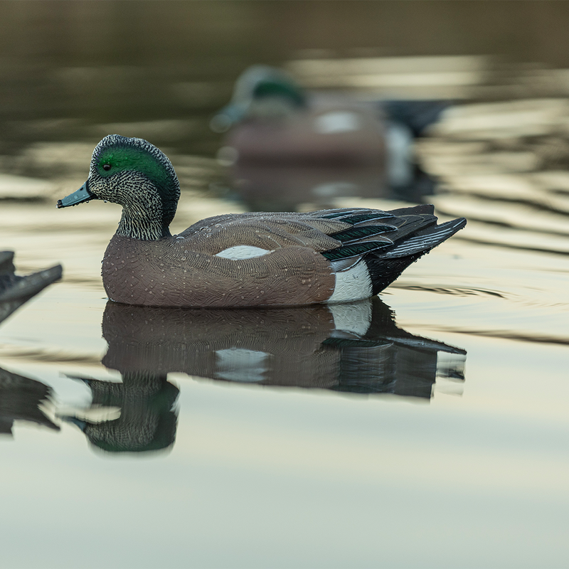 Avian-X - Topflight Wigeon 6 Floating Decoys
