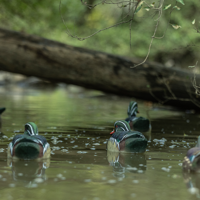 Avian-X - Topflight Wood Ducks 6 Floating Decoys