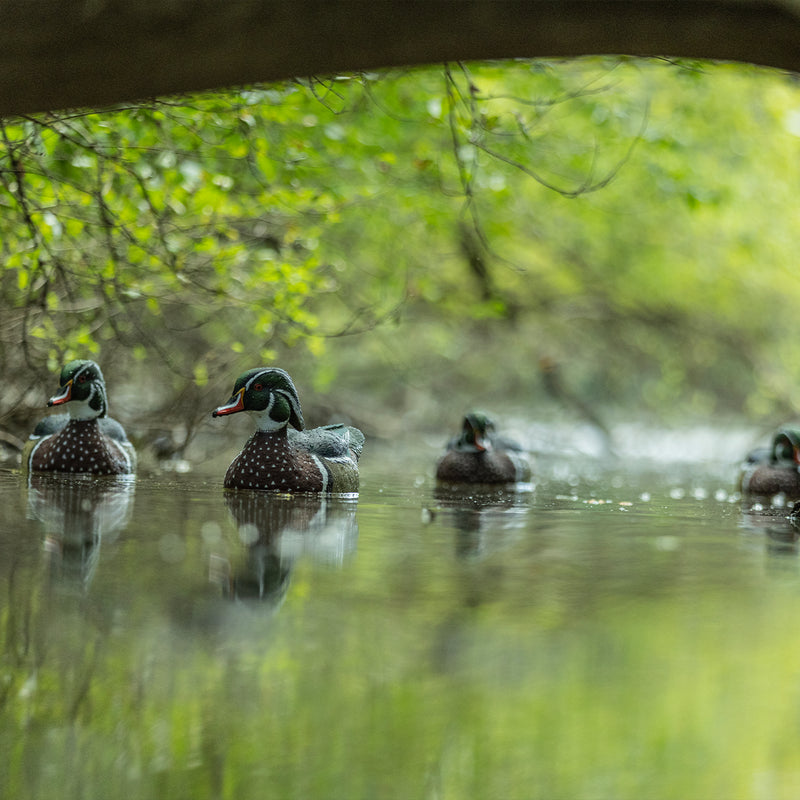 Avian-X - Topflight Wood Ducks 6 Floating Decoys