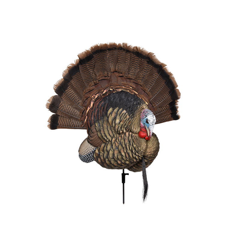Avian-X - Trophy Tom Wall Display Turkey Decoy