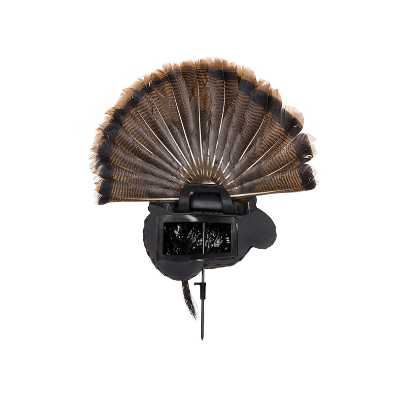 Avian-X - Trophy Tom Wall Display Turkey Decoy