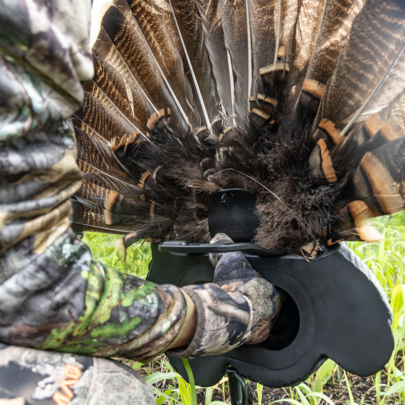 Avian-X - Trophy Tom Wall Display Turkey Decoy
