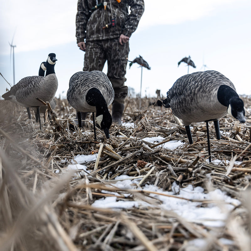 Avian-X - AXF Lessers Outfitter Pack 12 Decoys with Bag