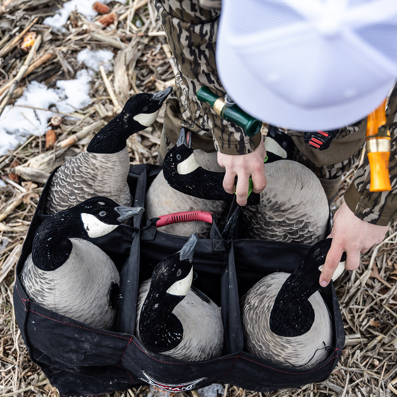 Avian-X - AXF Lessers Outfitter Pack 12 Decoys with Bag