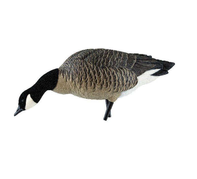 Avian-X - AXP Lessers Outfitter Pack 12 Decoys with Bag
